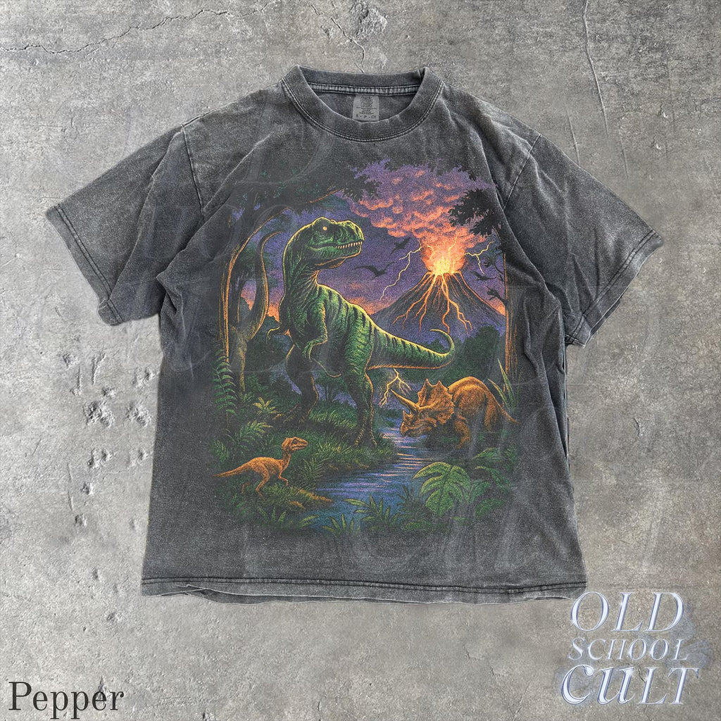 Vintage Jurassic dinosaur 90s graphic