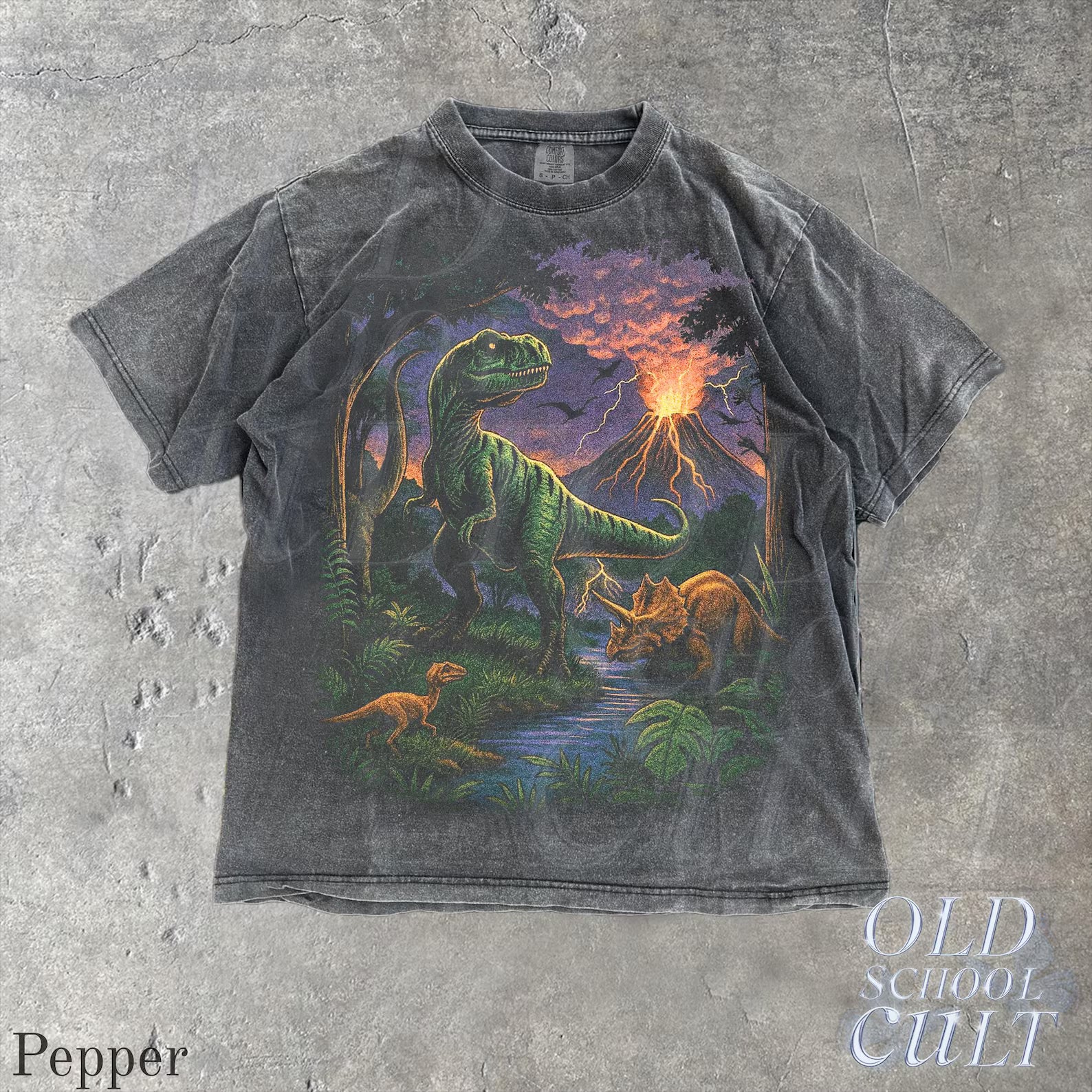 Vintage Jurassic dinosaur 90s graphic