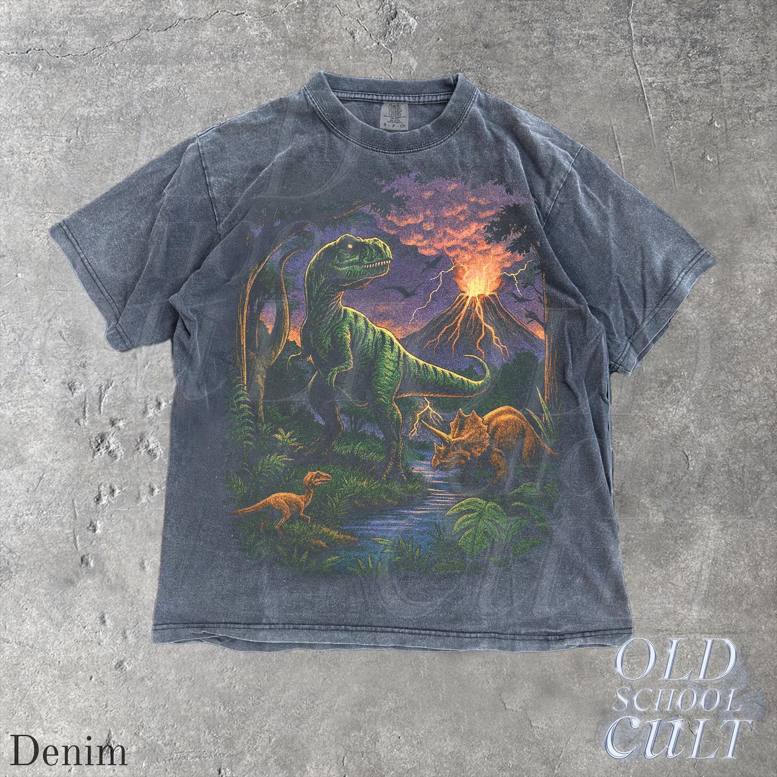 Vintage Jurassic dinosaur 90s graphic