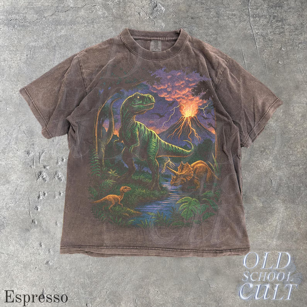 Vintage Jurassic dinosaur 90s graphic