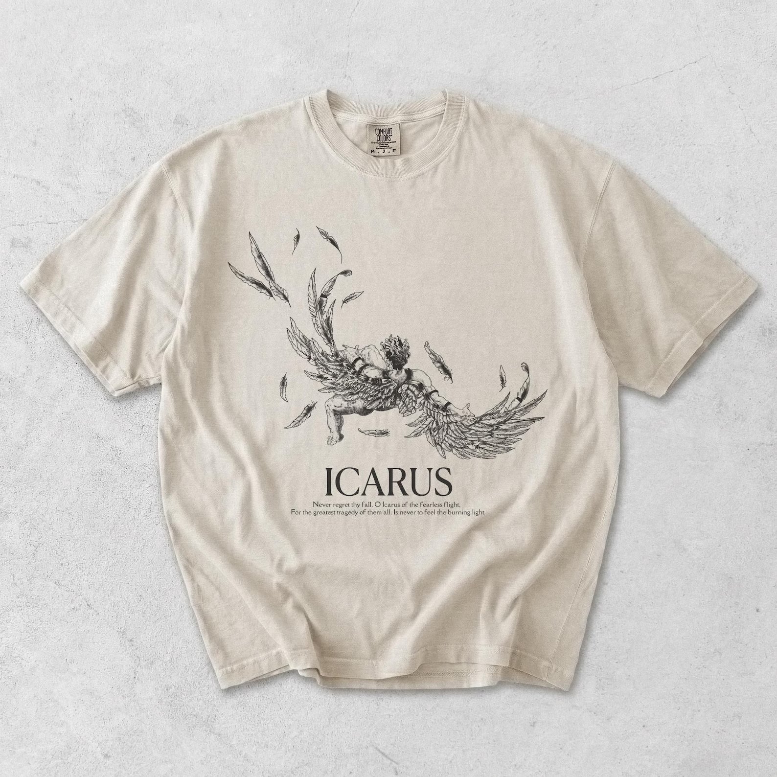 The Fall Of Icarus