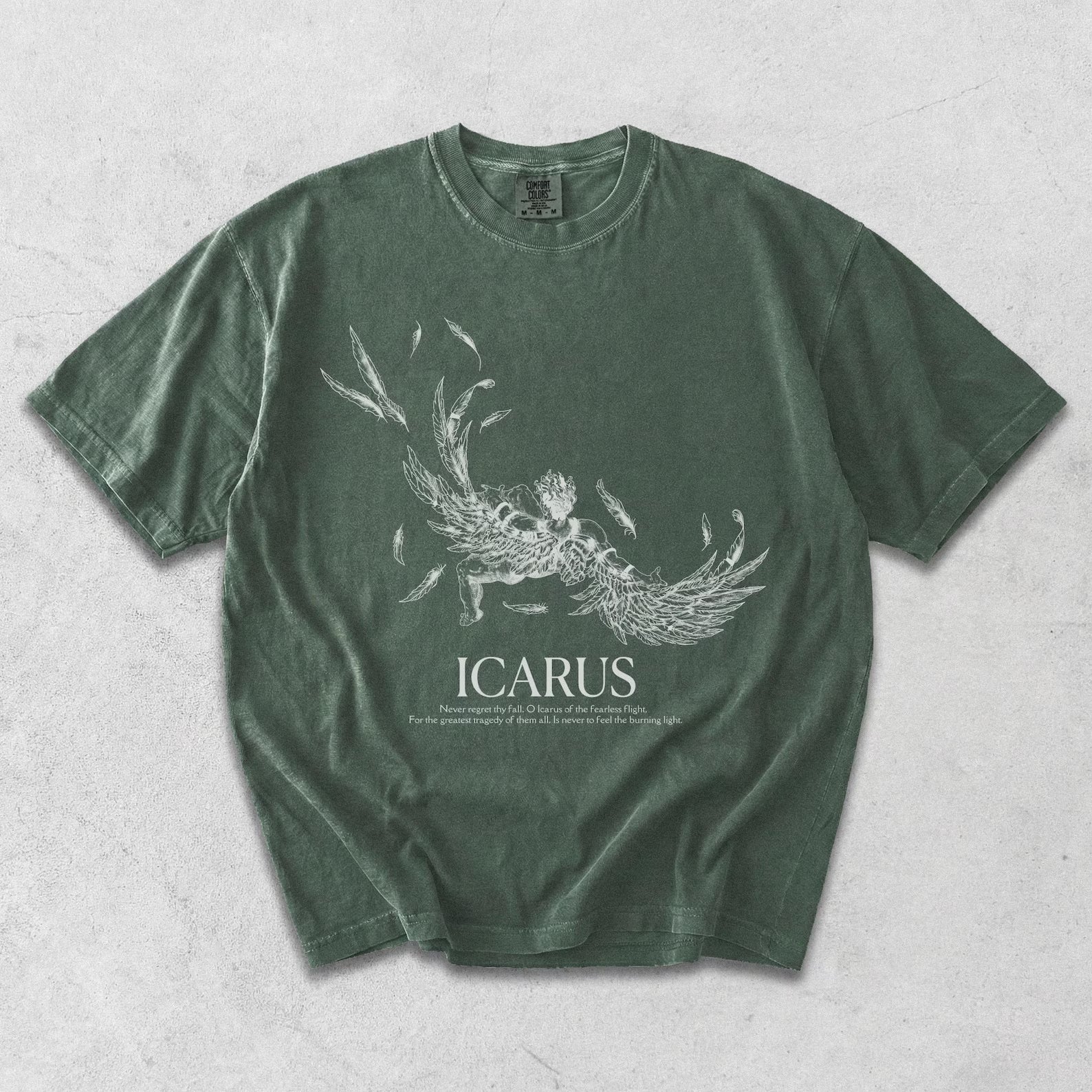 The Fall Of Icarus
