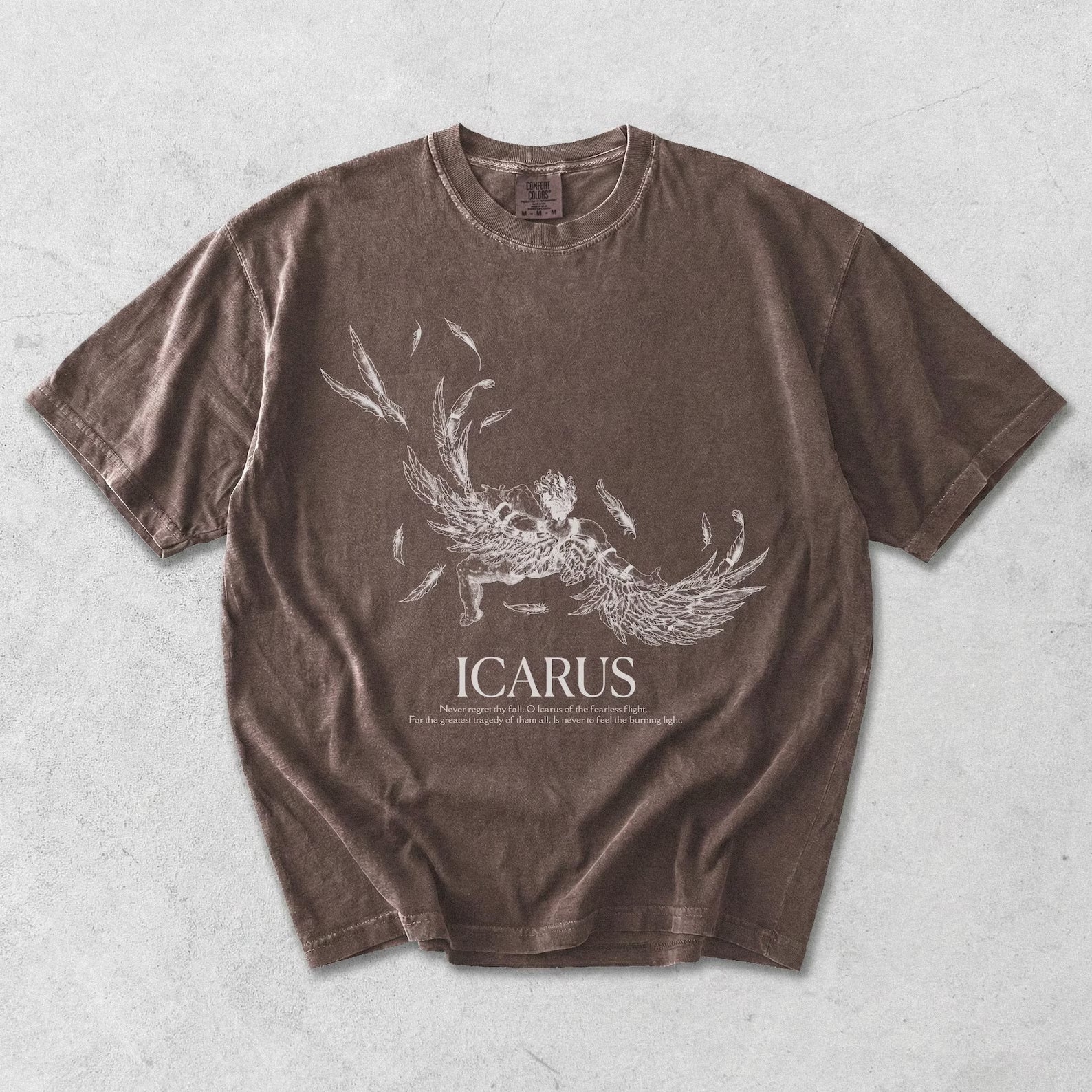 The Fall Of Icarus