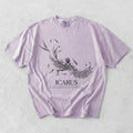 The Fall Of Icarus