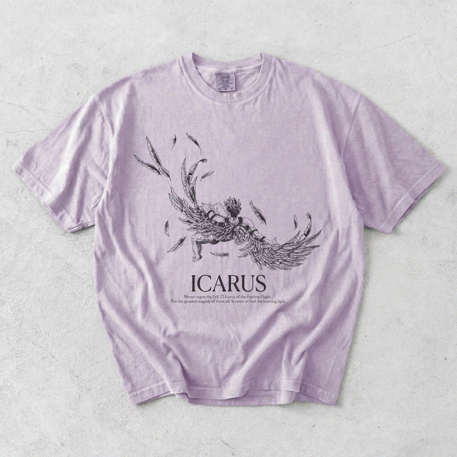 The Fall Of Icarus