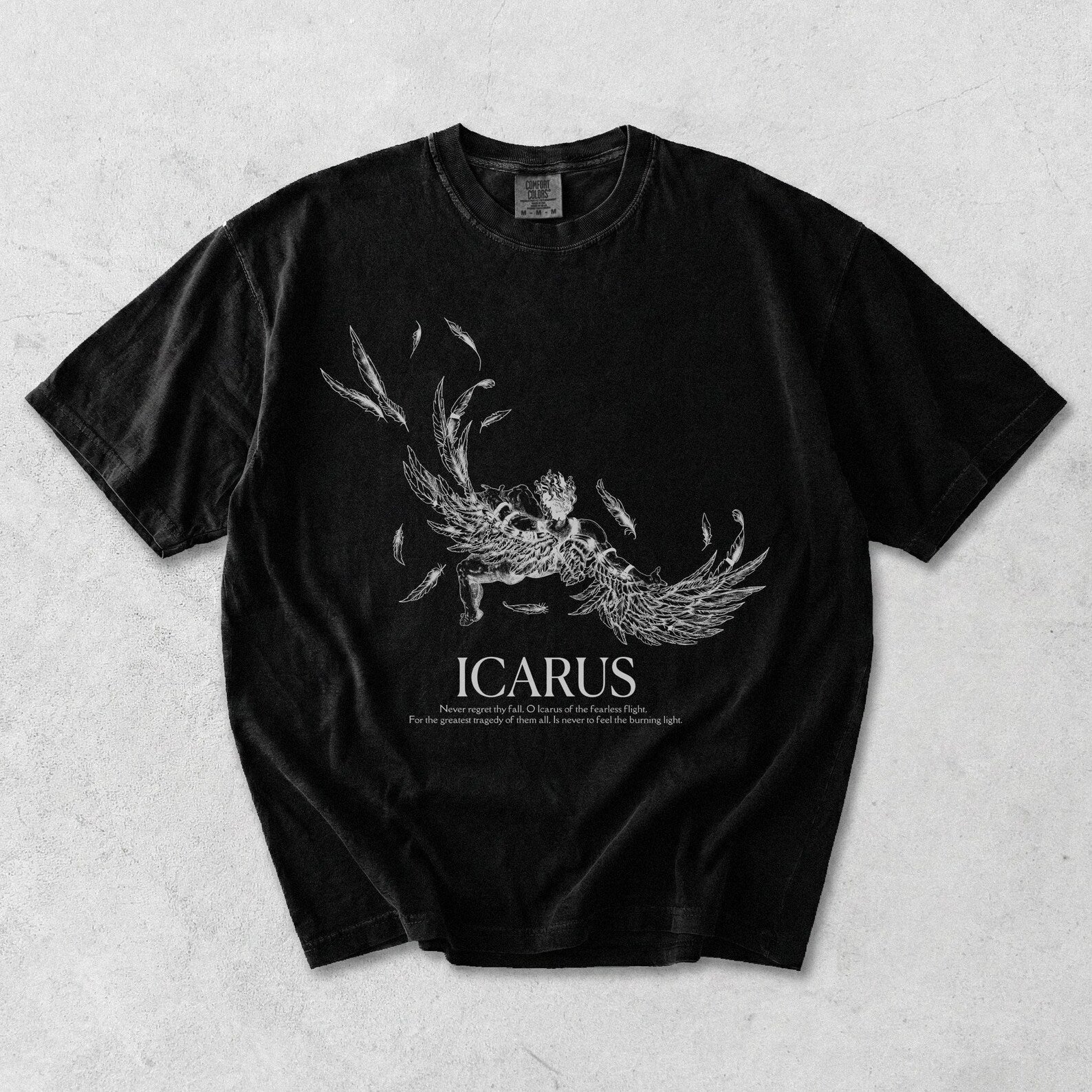 The Fall Of Icarus